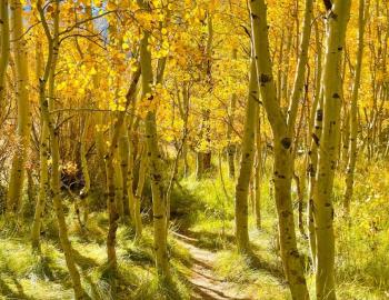 Lake Tahoe in The Fall